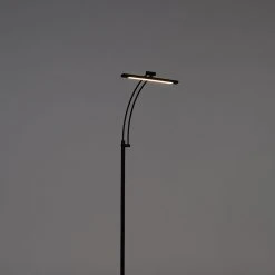 QAZQA Design Stehleuchte schwarz inkl. LED mit Dimmer einstellbar - Tableau -Stehlampen Verkaufsladen 1689 102622 12