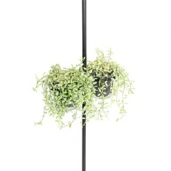 QAZQA Moderne Stehlampe schwarz mit Glas 33 cm - Roslini -Stehlampen Verkaufsladen 4986 104760 7