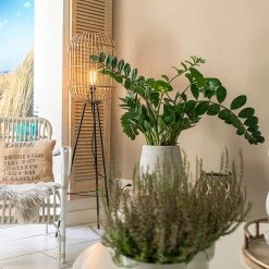 QAZQA Ländliche Stehlampe Rattan - Manila 37 QAZQA Ländliche Stehlampe Rattan - Manila -Stehlampen Verkaufsladen 5209 98418 17