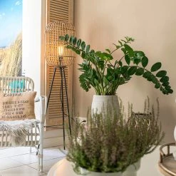 QAZQA Smarte ländliche Stehlampe Rattan inkl. WiFi A60 - Manila -Stehlampen Verkaufsladen 8301 104698 19